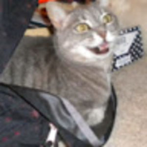 Meet your Posher, Alexandra